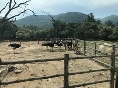 -西安秦岭野生动物园