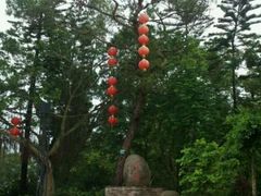 android_upload_pic-东岳公园