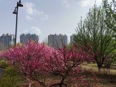 -哈尔滨音乐公园