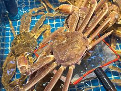 -驻海渔市(置信店)