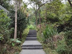 -福道