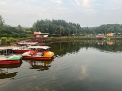 -天达烤全羊