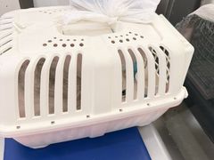-四月宠物医院·猫专科·心脏专科·内科(转塘店)