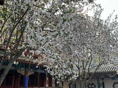 -莲池书院博物馆