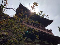-西安青龙寺遗址景区