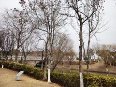 -江滩湿地公园