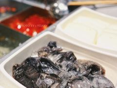 -海底捞火锅(CBD安泰广场店)