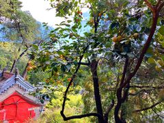 -潭柘寺景区