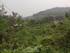 -四川农业大学(雅安校区)