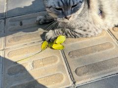 -烤肉宛饭庄(北新桥店)