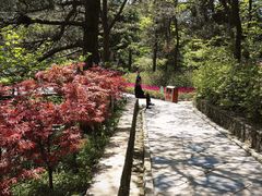 -庐山风景区花径公园