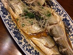 -全乐鱼馆·淳牌有机鱼直营店