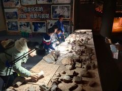 -世界恐龙谷景区