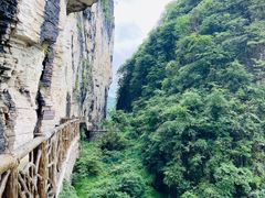 -蝶舞清江·恩施云顶景区(黄鹤峰林)