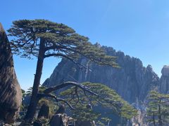 -黄山风景区