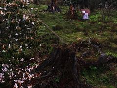 -硗碛藏寨·神木垒景区