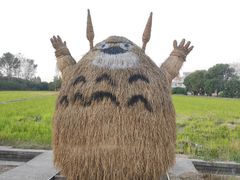 -嘉北郊野公园