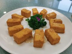 极品豆腐-奕景海鲜酒家· 大连海鲜(星海广场店)