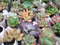 -KKV(深圳宏发大仟里店)