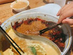 -青瓷火锅料理(西单大悦城店)