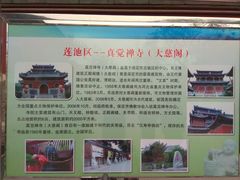-马大刚白记包子
