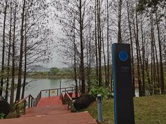 -中国移动南方基地