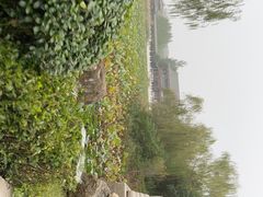 -南湖国家城市湿地公园