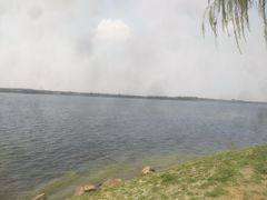 -丁香湖公园