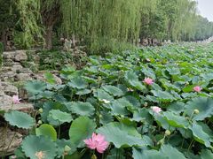 -莲池书院博物馆