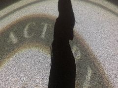 -半山半岛洲际度假酒店·啤酒工厂
