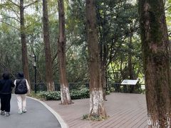 -苏州河梦清园环保主题公园