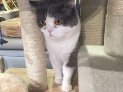 -小时光咖啡馆(开森度假森林店)