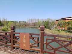 -南湖湿地公园