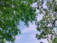 -三岔湖景区