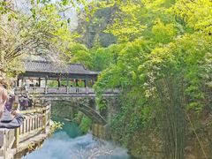-三峡人家风景区