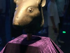 -广西壮族自治区博物馆