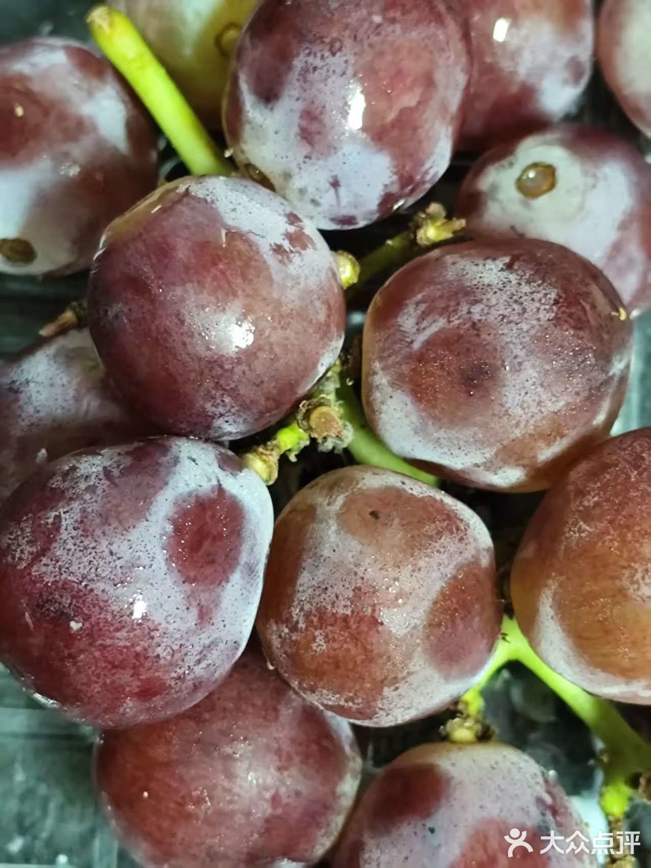 枝头挂满葡萄