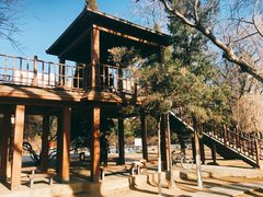 景点-沈阳中山公园