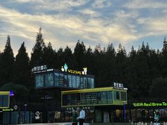 -黄海国家森林公园