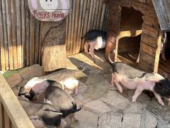 -HERRE·FARM 赫尔露营农场·团建聚会包场