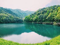 -龙坞茶村