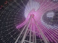 -琴岛之星摩天轮