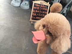 -沙青(江场二路店)