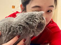 -美联众合爱康动物医院•复杂内科•肿瘤科•牙科•腔镜诊疗中心