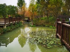 -柳鹭田园区