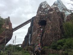 -奥兰多迪士尼动物王国乐园
