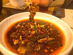 凉拌鸡-铁公鸡·四川料理(天环广场店)