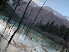 -黄龙山原始森林景区