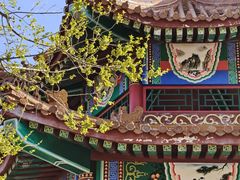 -白水寺森林公园