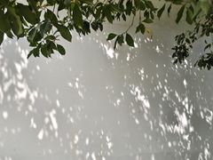 -堤角公园
